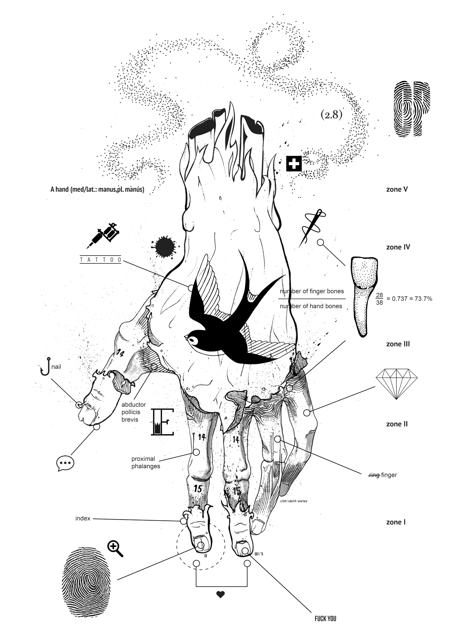 Anatomy Collection Image