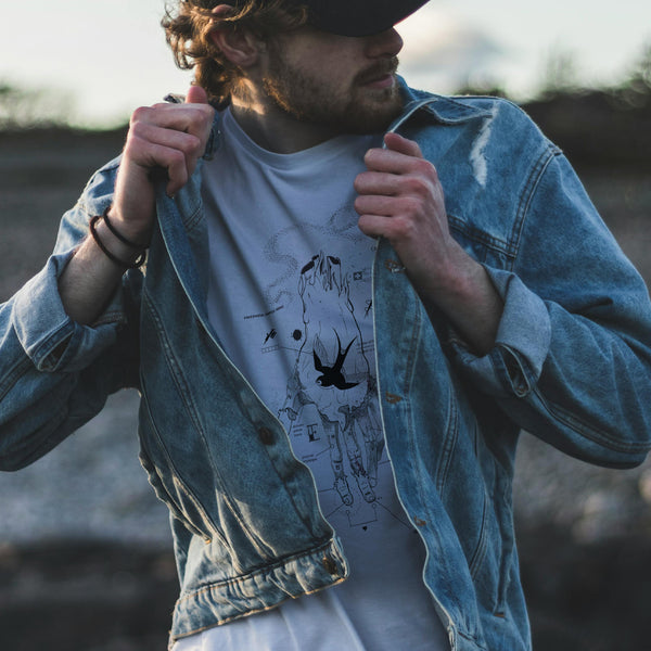 Collections-Anatomy-Image-2