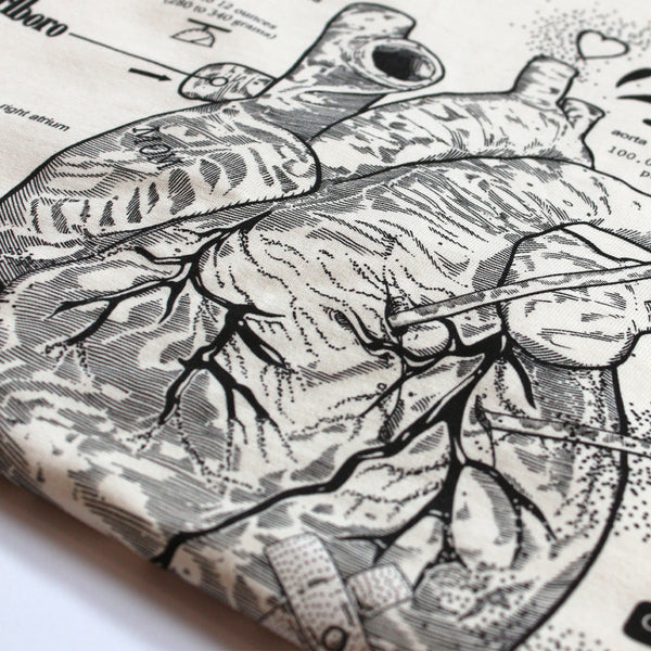 Collections-Anatomy-Image-3