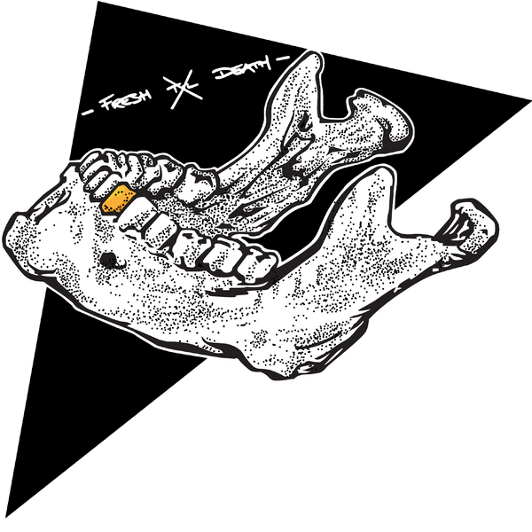 Collections-Anatomy-Image-4