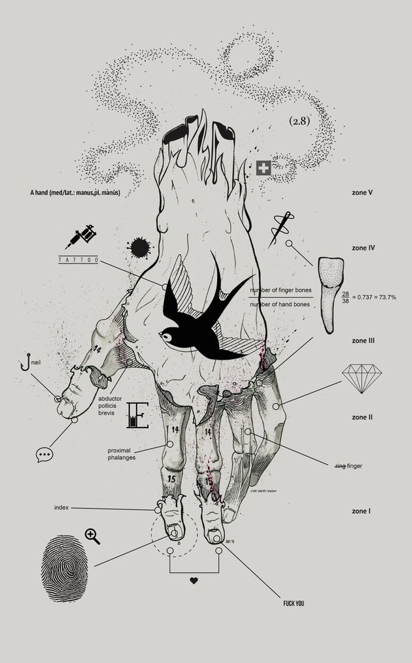 Collections-Anatomy-Image-5