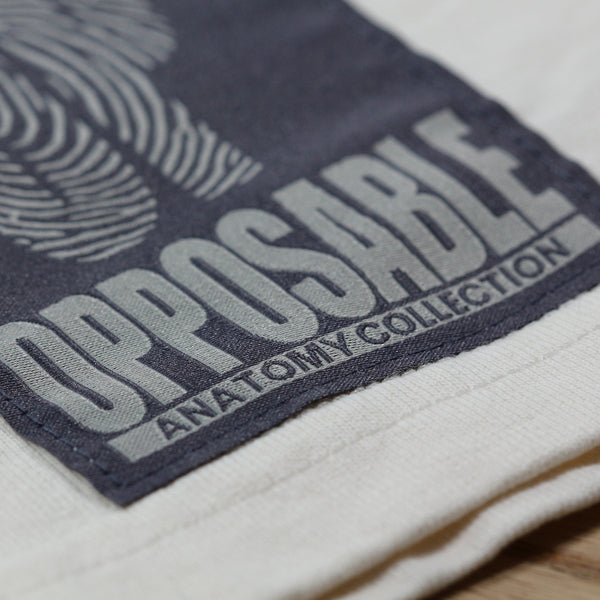 Collections-Anatomy-Image